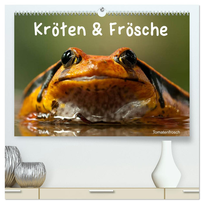 Kröten & Frösche (CALVENDO Premium Wandkalender 2025)