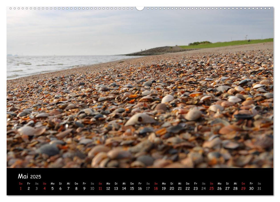 Ostfriesland - Land an der Küste (CALVENDO Premium Wandkalender 2025)