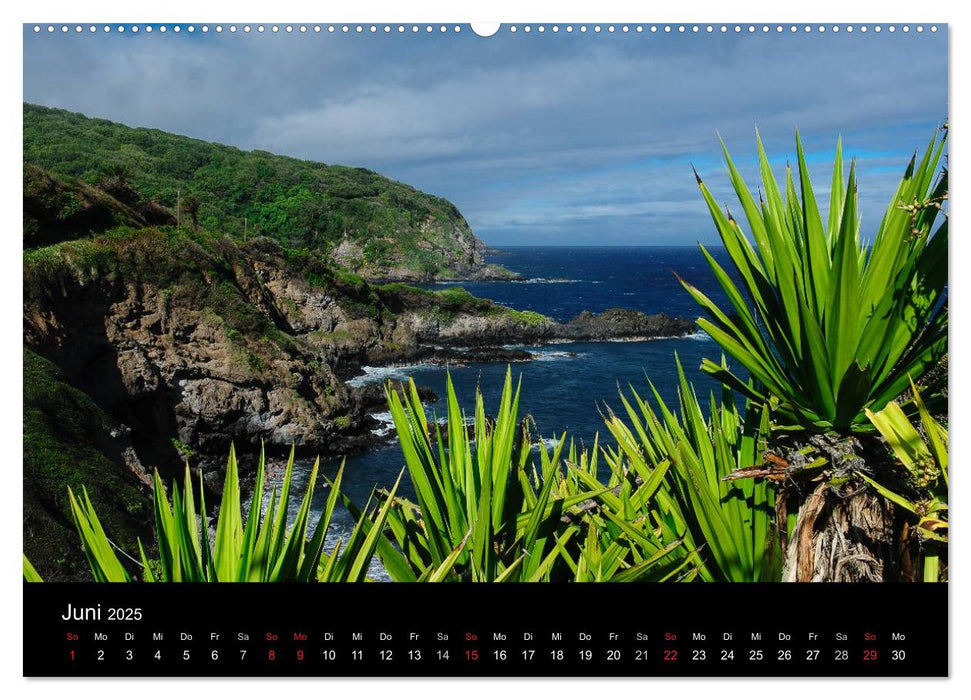 Hawaii - Oahu - Maui (CALVENDO Premium Wandkalender 2025)