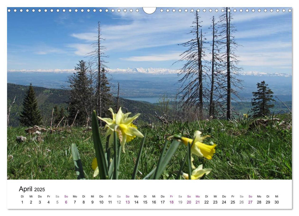 Jura Höhenweg 2025 (CALVENDO Wandkalender 2025)