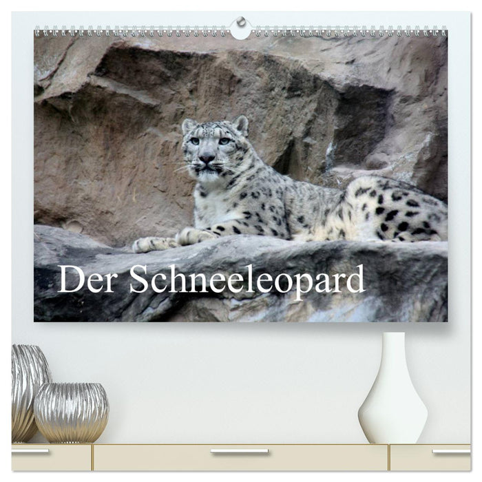 Der Schneeleopard (CALVENDO Premium Wandkalender 2025)