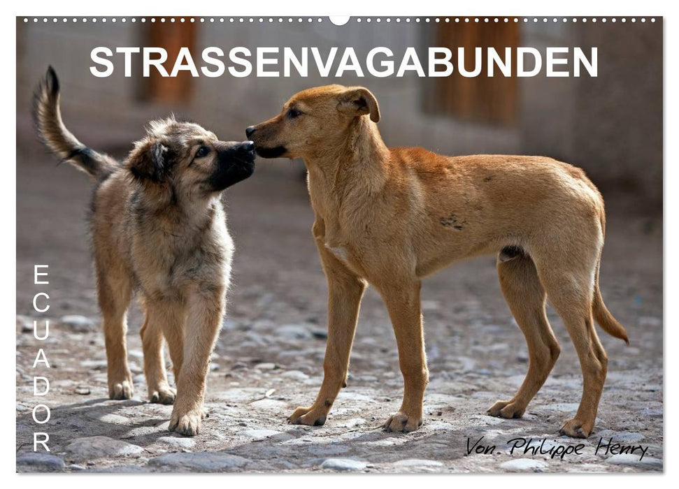 STRASSENVAGABUNDEN (CALVENDO Wandkalender 2025)