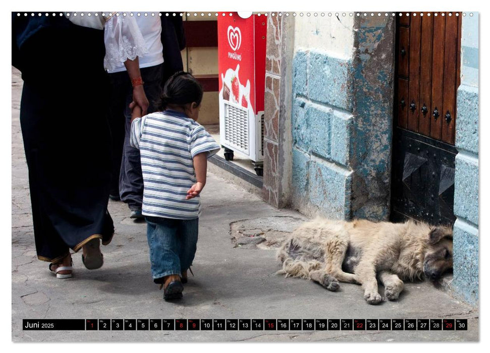 STRASSENVAGABUNDEN (CALVENDO Wandkalender 2025)