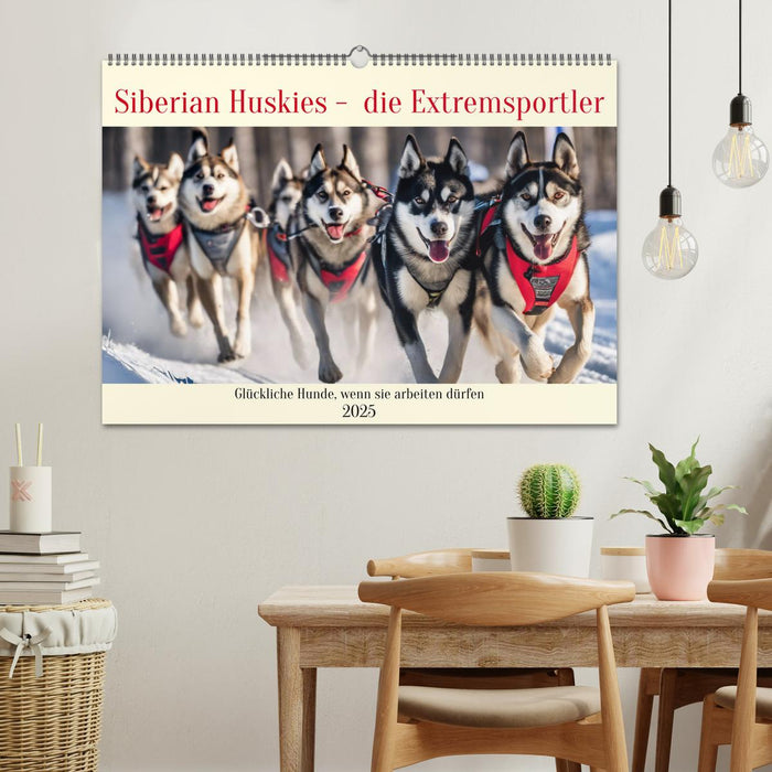 Siberian Huskies - die Extremsportler (CALVENDO Wandkalender 2025)