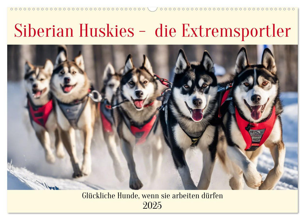 Siberian Huskies - die Extremsportler (CALVENDO Wandkalender 2025)