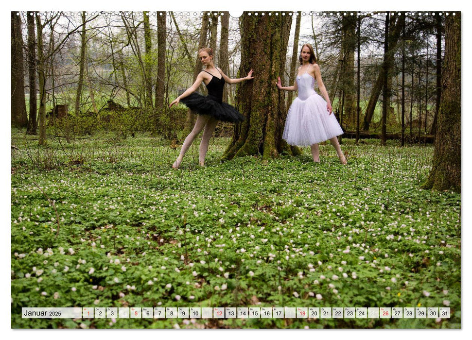 Ballerina Studio - Natur (CALVENDO Wandkalender 2025)