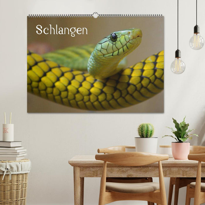 Schlangen (CALVENDO Wandkalender 2025)