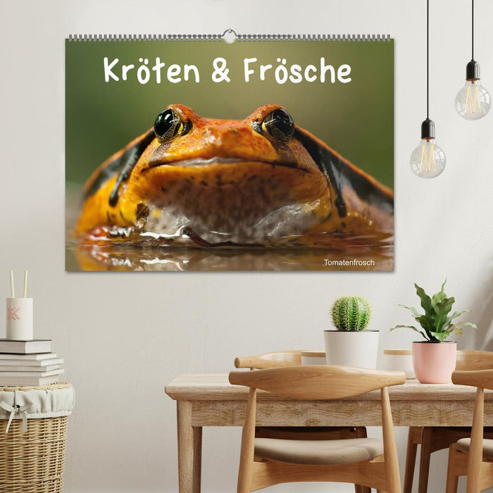 Kröten & Frösche (CALVENDO Wandkalender 2025)