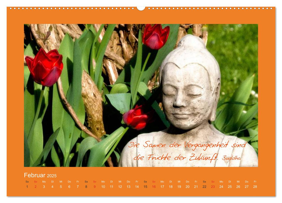 Buddha & Zitate (CALVENDO Premium Wandkalender 2025)