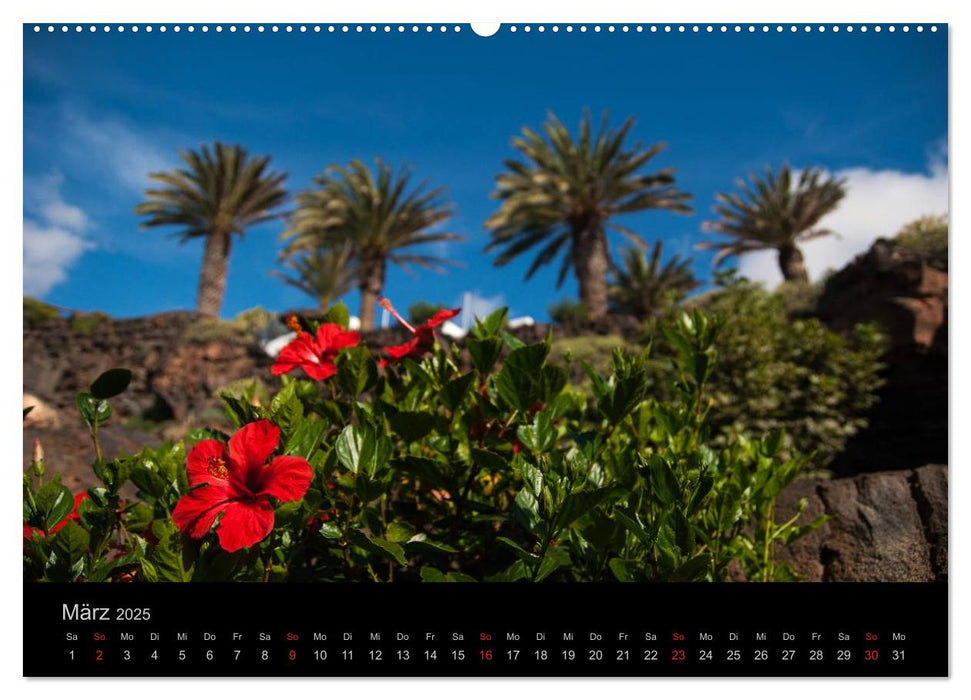 Unterwegs auf Lanzarote (CALVENDO Premium Wandkalender 2025)