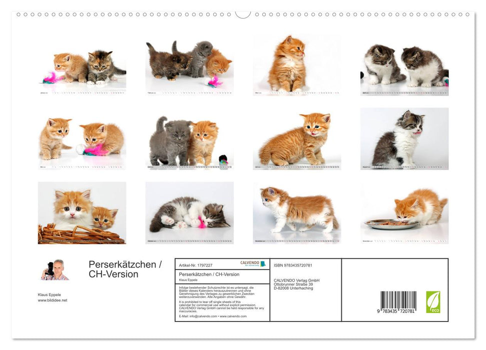 Perserkätzchen / CH-Version (CALVENDO Premium Wandkalender 2025)