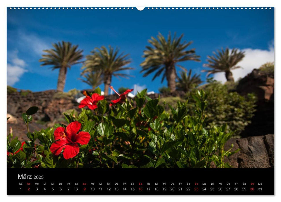 Unterwegs auf Lanzarote (CALVENDO Wandkalender 2025)