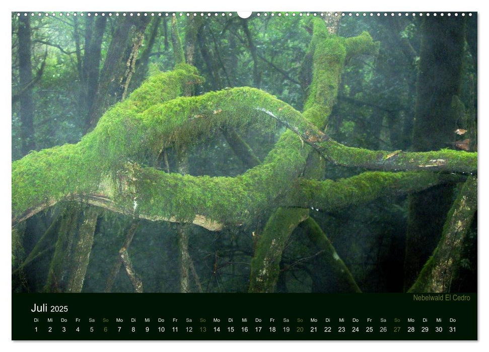 Isla de la Gomera (CALVENDO Premium Wandkalender 2025)