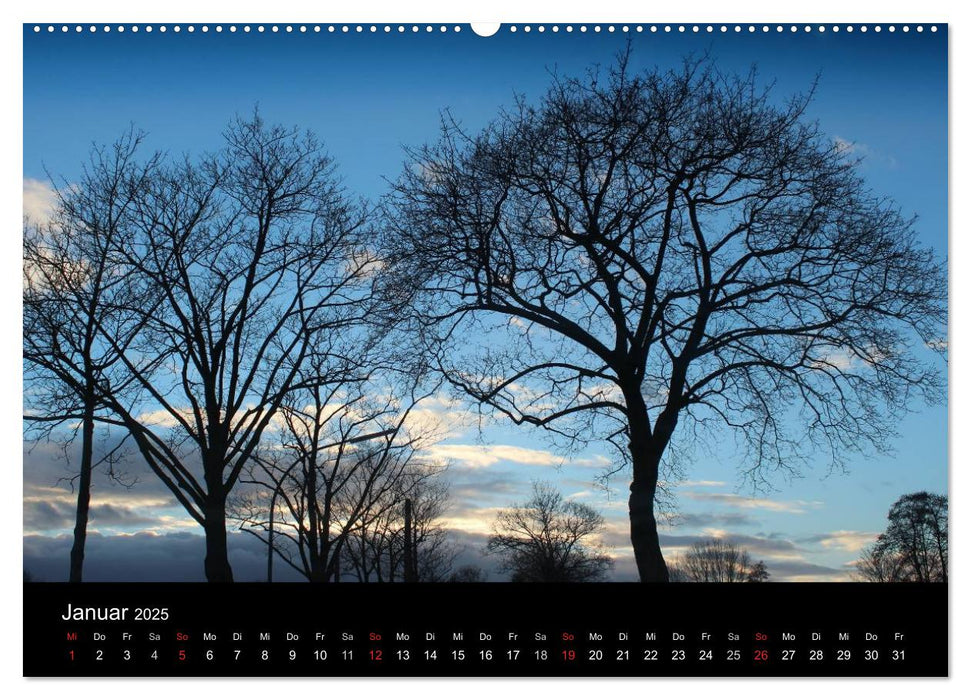 Baum Art (CALVENDO Premium Wandkalender 2025)