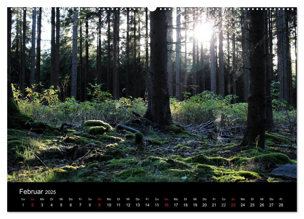 Baum Art (CALVENDO Premium Wandkalender 2025)