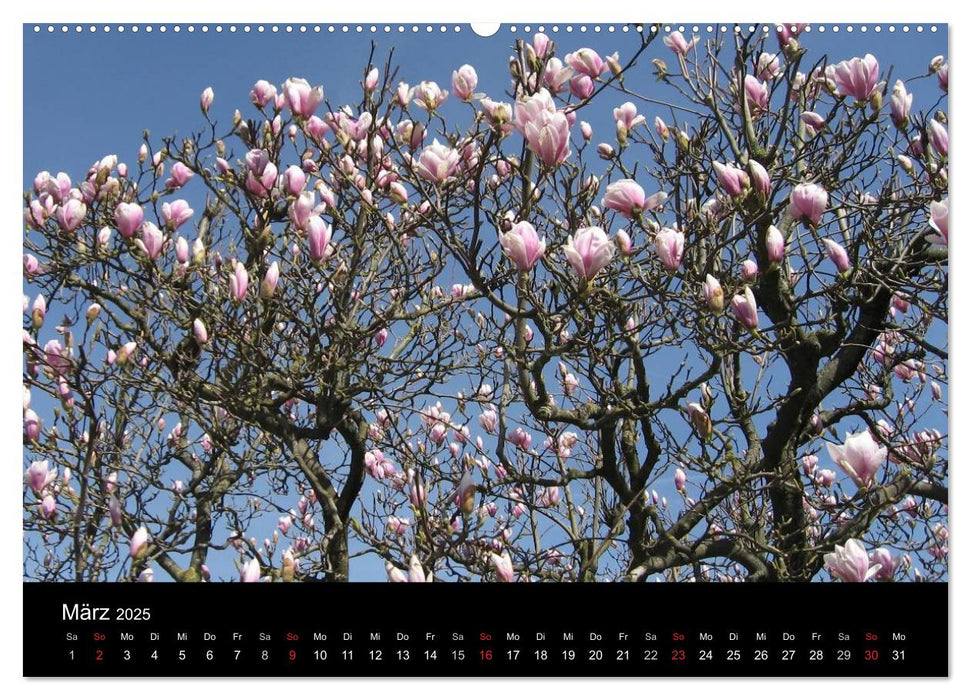 Baum Art (CALVENDO Premium Wandkalender 2025)