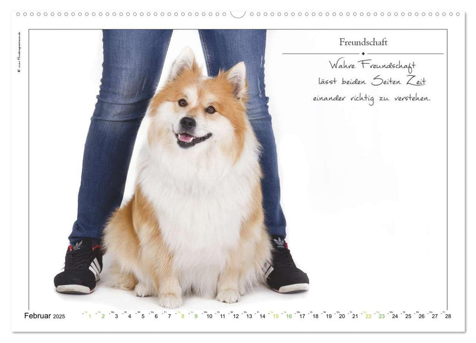 Hunde-Spruchreif (CALVENDO Wandkalender 2025)