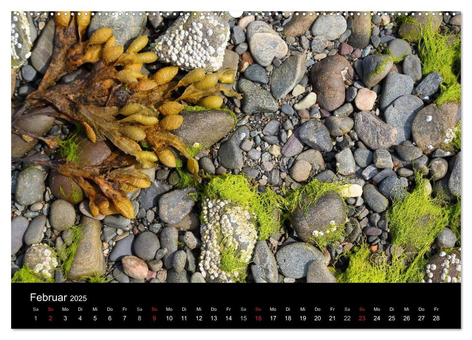 Schottische Impressionen (CALVENDO Premium Wandkalender 2025)