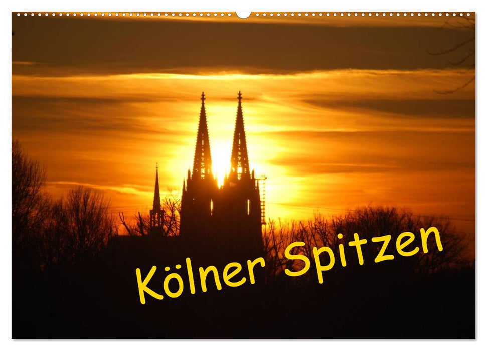 Kölner Spitzen (CALVENDO Wandkalender 2025)