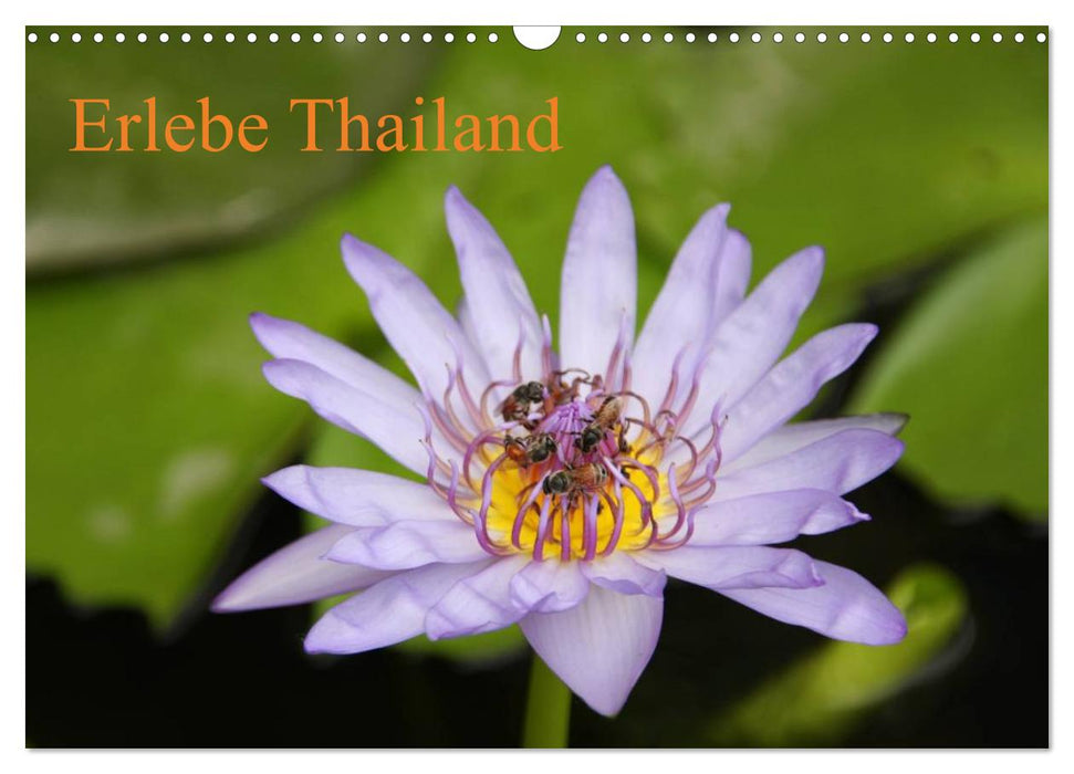 Erlebe Thailand (CALVENDO Wandkalender 2025)