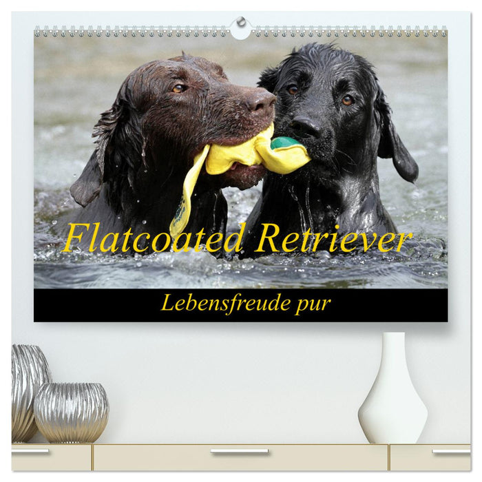 Flatcoated Retriever (CALVENDO Premium Wandkalender 2025)