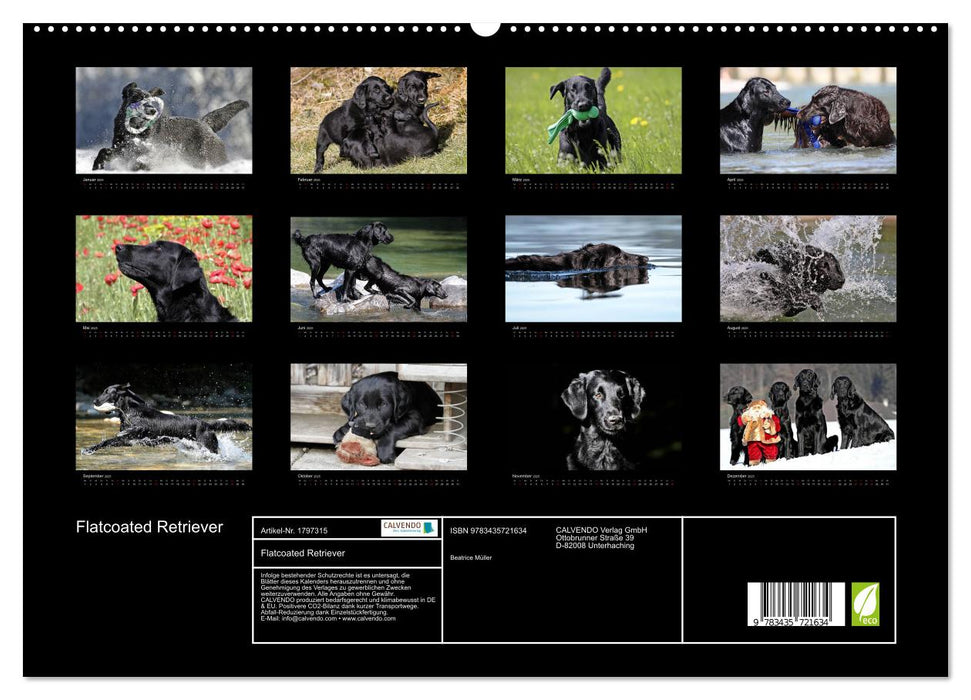 Flatcoated Retriever (CALVENDO Premium Wandkalender 2025)