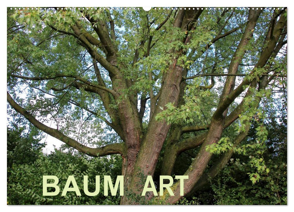 Baum Art (CALVENDO Wandkalender 2025)