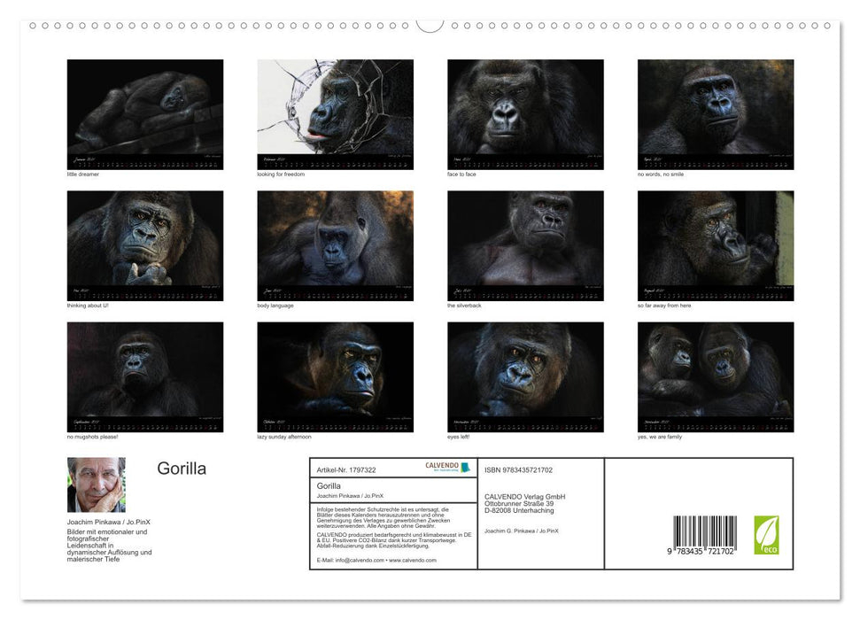 Gorilla (CALVENDO Premium Wandkalender 2025)