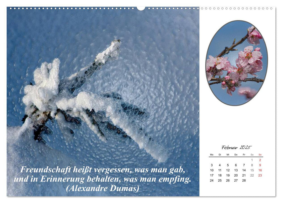 Wahre Freundschaft (CALVENDO Premium Wandkalender 2025)