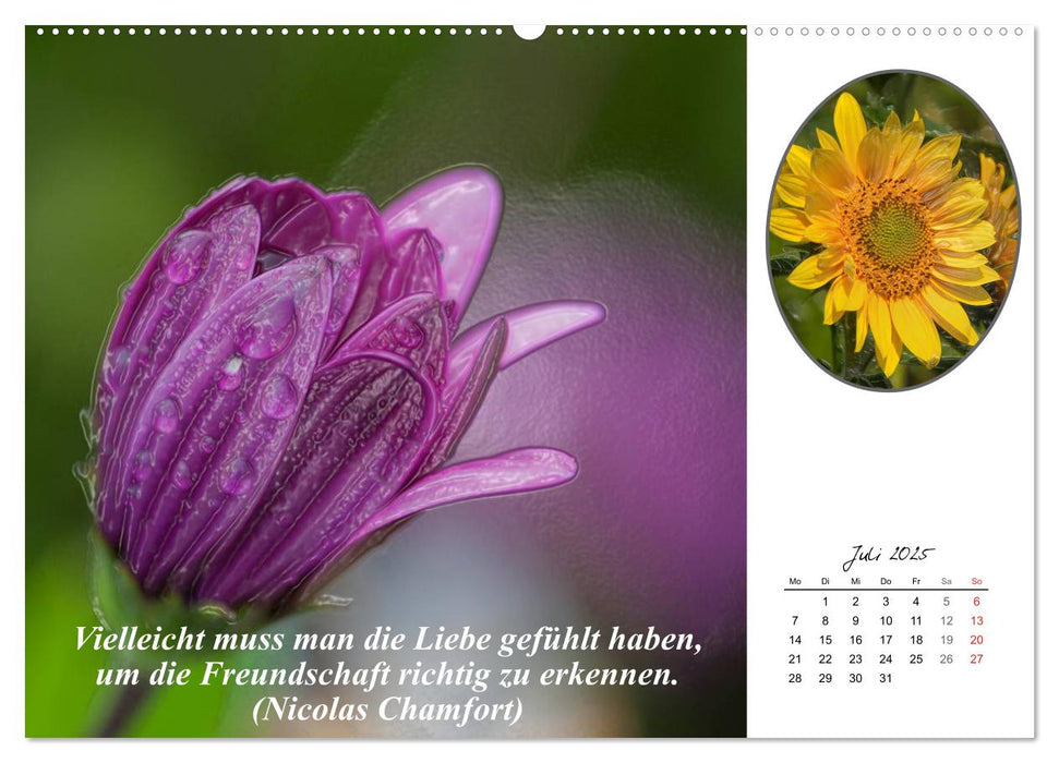 Wahre Freundschaft (CALVENDO Premium Wandkalender 2025)