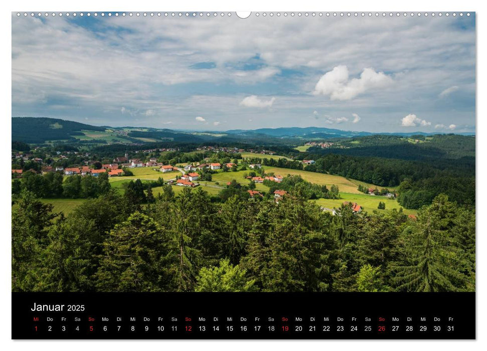 Bayerischer Wald (CALVENDO Premium Wandkalender 2025)