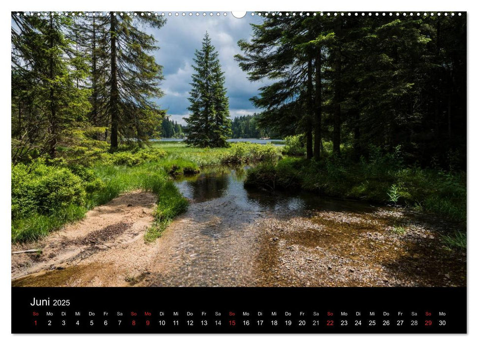 Bayerischer Wald (CALVENDO Premium Wandkalender 2025)