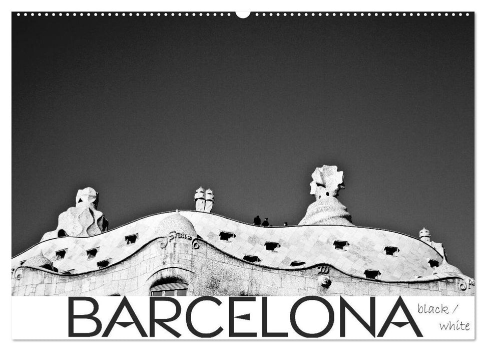 BARCELONA [black/white] (CALVENDO Wandkalender 2025)