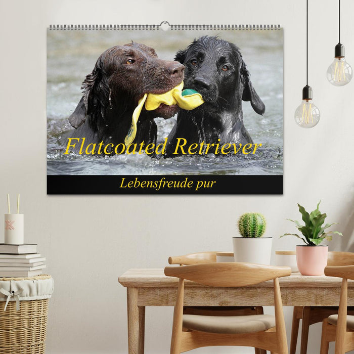 Flatcoated Retriever (CALVENDO Wandkalender 2025)