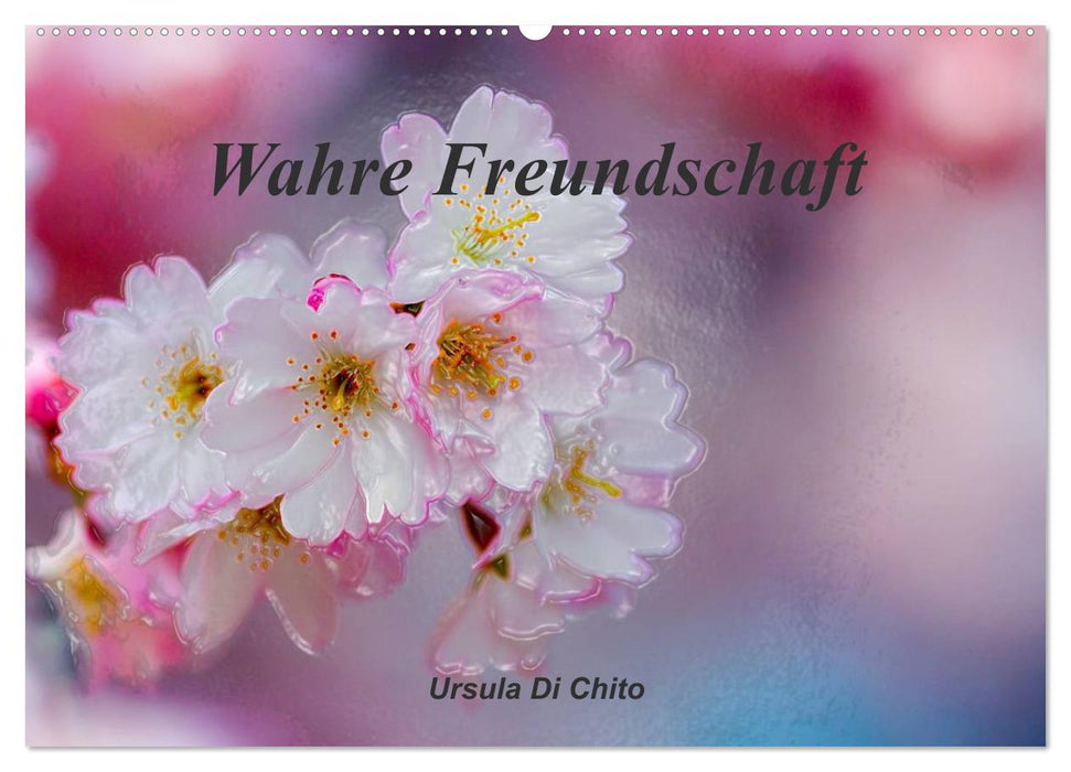 Wahre Freundschaft (CALVENDO Wandkalender 2025)