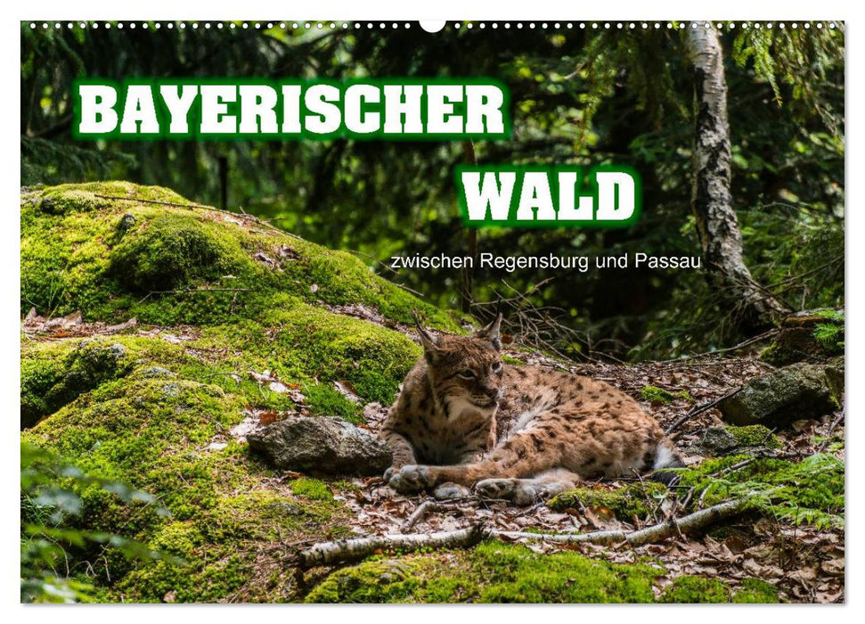 Bayerischer Wald (CALVENDO Wandkalender 2025)