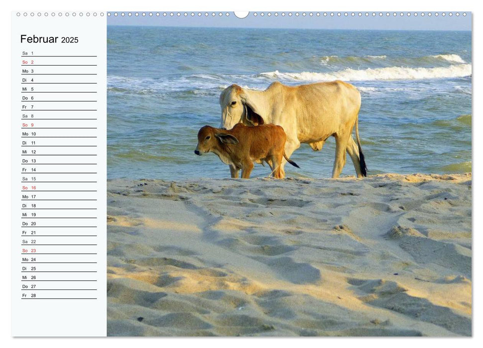 Thailand. Impressionen (CALVENDO Premium Wandkalender 2025)