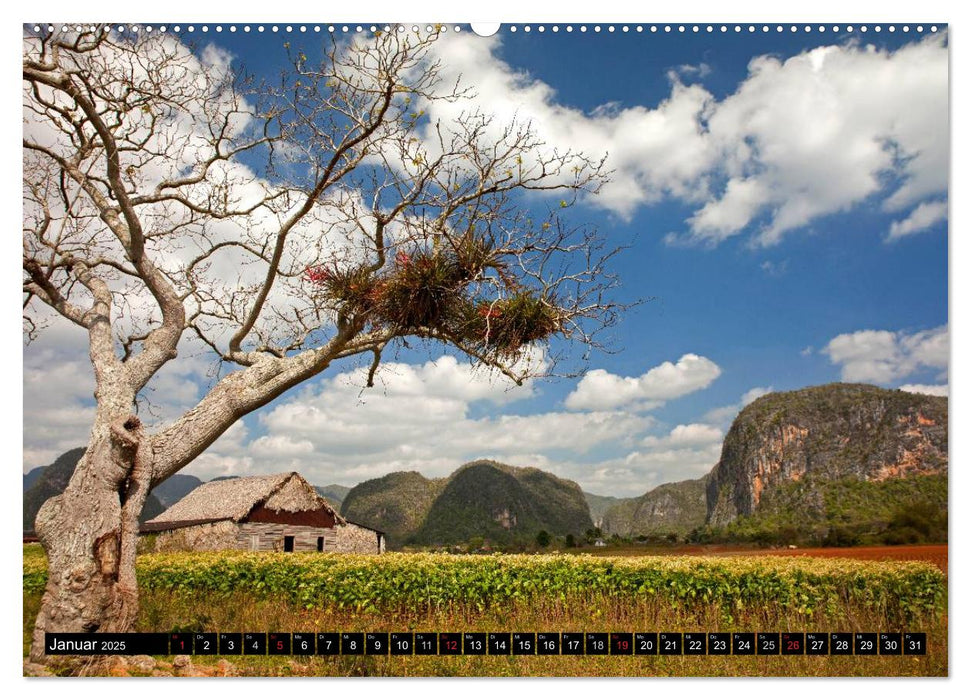 Cuba (CALVENDO Premium Wandkalender 2025)