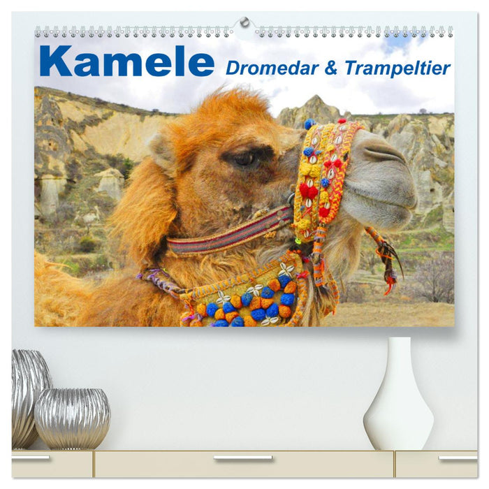 Kamele • Dromedar & Trampeltier (CALVENDO Premium Wandkalender 2025)