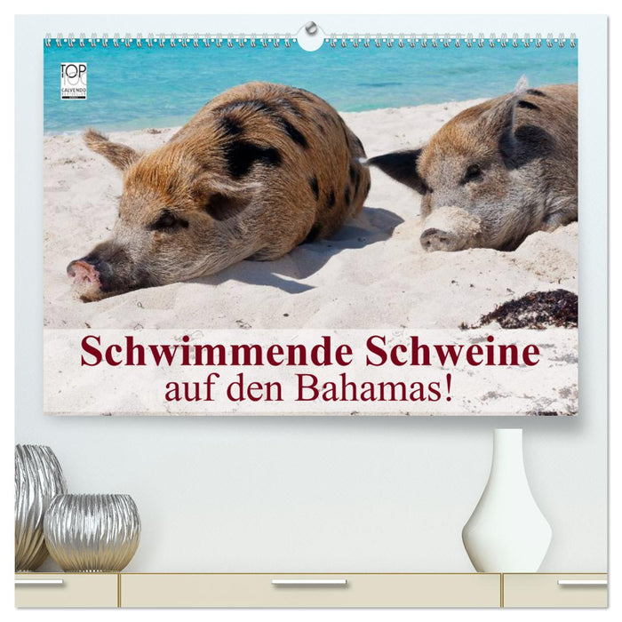 Schwimmende Schweine auf den Bahamas! (CALVENDO Premium Wandkalender 2025)