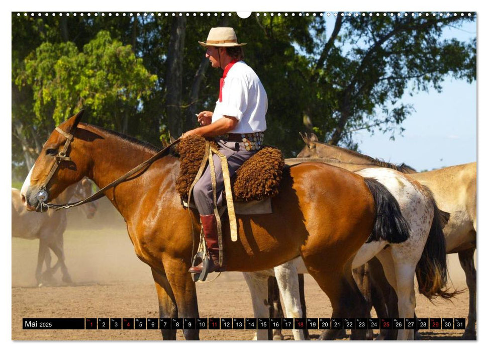 Argentinien - Impressionen (CALVENDO Premium Wandkalender 2025)