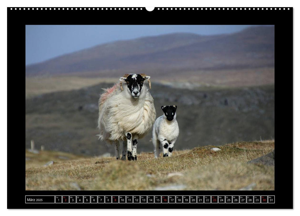 Schottlands wilder Westen (CALVENDO Premium Wandkalender 2025)