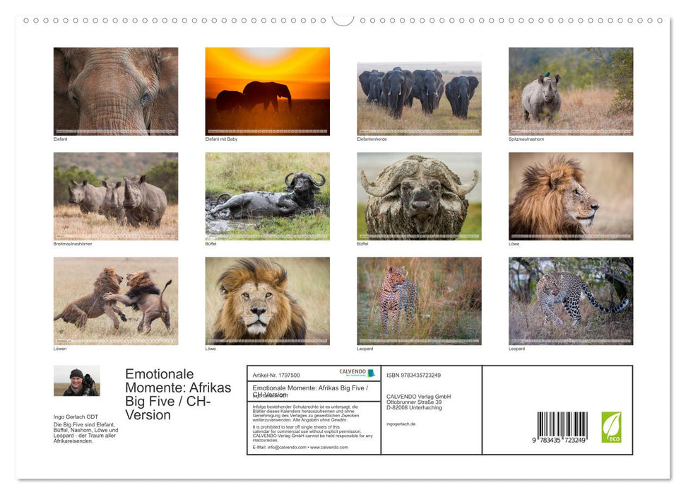 Emotionale Momente: Afrikas Big Five / CH-Version (CALVENDO Premium Wandkalender 2025)