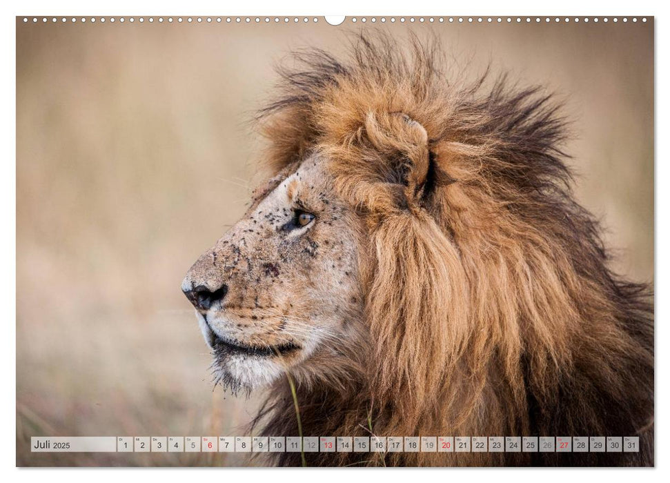 Emotionale Momente: Afrika Wildlife. Part 3. / CH-Version (CALVENDO Premium Wandkalender 2025)