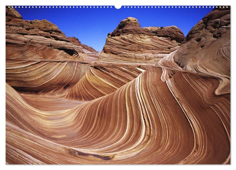 Arizona • Impressionen (CALVENDO Premium Wandkalender 2025)