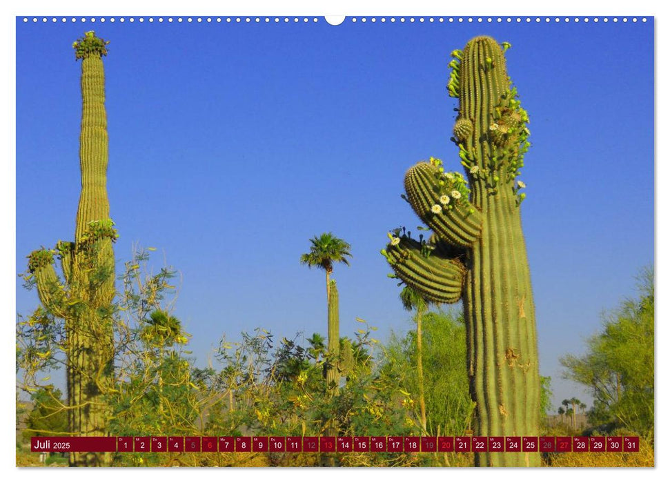 Arizona • Impressionen (CALVENDO Premium Wandkalender 2025)