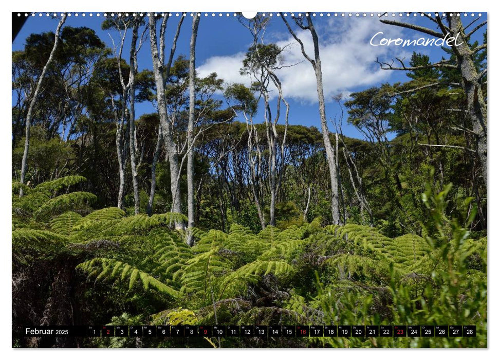 Neuseeland (CALVENDO Premium Wandkalender 2025)