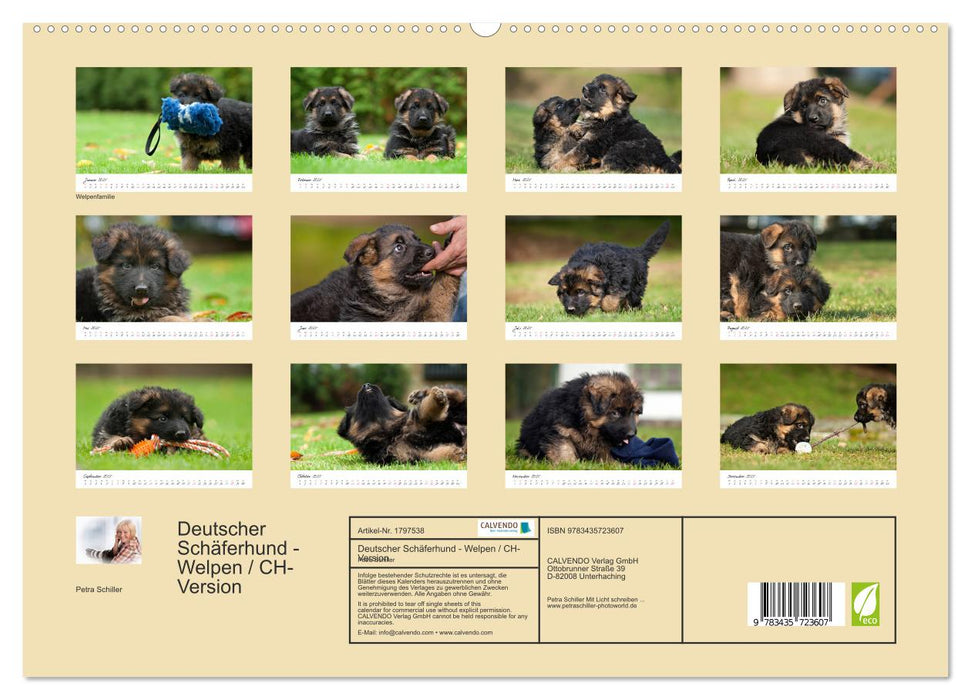 Deutscher Schäferhund - Welpen / CH-Version (CALVENDO Premium Wandkalender 2025)