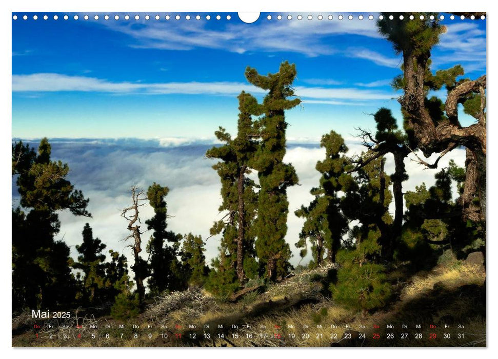 La Palma (CALVENDO Wandkalender 2025)