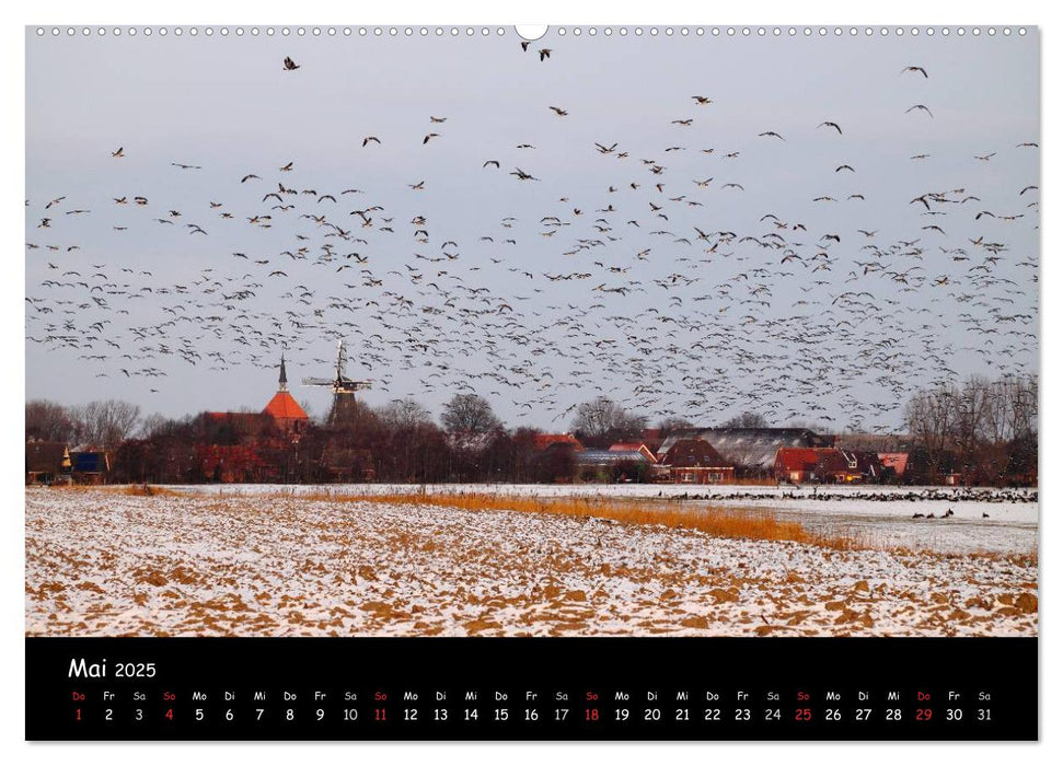 Schrei der Wildgänse (CALVENDO Premium Wandkalender 2025)